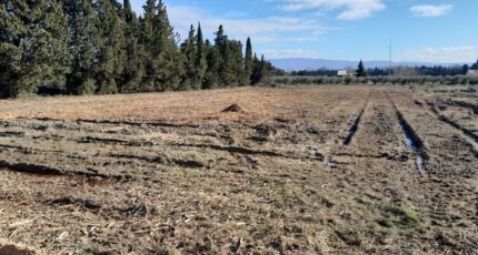Montfrin Terrain à bâtir - 2666588-695annonce420261007QS8MQ.jpeg Maisons France Confort