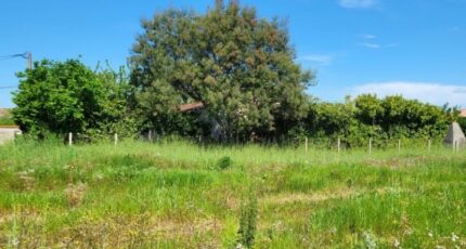 Frouzins Maison neuve - 2665005-10326annonce220261006W81tz.jpeg Maisons France Confort