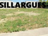 Maison à construire à Marsillargues (34590) 2667018-3243annonce120260604gU3TO.jpeg Maisons France Confort