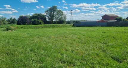 Mionnay Maison neuve - 2557793-10453annonce420260619d0CuS.jpeg Maisons France Confort