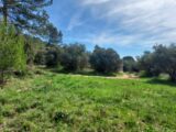 Maison à construire à Camps-la-Source (83170) 2668068-5922annonce120261008srLet.jpeg Maisons France Confort