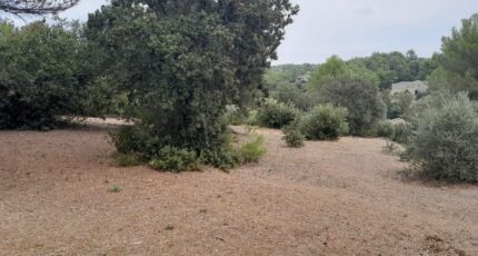 Villeneuve-lès-Avignon Maison neuve - 2668670-695annonce320261008G8IBp.jpeg Maisons France Confort