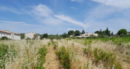 Castillon-du-Gard Maison neuve - 2668702-695annonce1202610081McGf.jpeg Maisons France Confort
