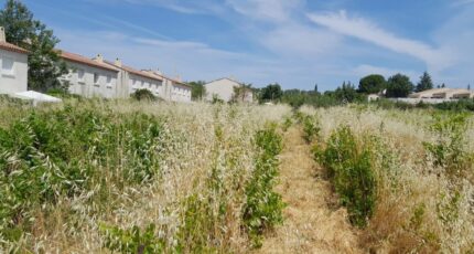 Castillon-du-Gard Maison neuve - 2668702-695annonce320261008EmMxX.jpeg Maisons France Confort