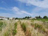 Maison à construire à Castillon-du-Gard (30210) 2668704-695annonce1202610081McGf.jpeg Maisons France Confort