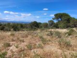 Terrain à bâtir à Marcorignan (11120) 2668977-11782annonce220261008El4mz.jpeg Maisons France Confort