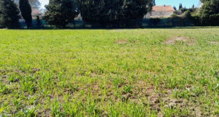 Aubignan Maison neuve - 2669504-695annonce420261008QyKCg.jpeg Maisons France Confort