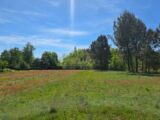 Terrain à bâtir à Aubie-et-Espessas (33240) 2595703-11516annonce120260804nbQGK.jpeg Maisons France Confort