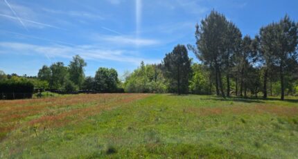 Aubie-et-Espessas Terrain à bâtir - 2595703-11516annonce120260804nbQGK.jpeg Maisons France Confort