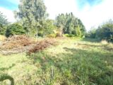Maison à construire à Moncheaux (59283) 2670996-11905annonce220261009iQ7M6.jpeg Maisons France Confort