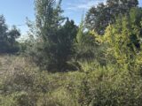Terrain à bâtir à Pessac (33600) 2671735-11383annonce1202610104nXfC.jpeg Maisons France Confort