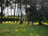 Terrain à bâtir à Mérignac (33700) 2671766-11383annonce120261010bTblO.jpeg Maisons France Confort