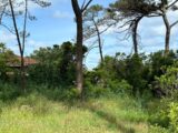 Terrain à bâtir à Lanton (33138) 2628272-11276annonce120260910hzaw8.jpeg Maisons France Confort