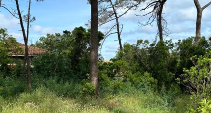 Lanton Maison neuve - 2628274-11276annonce120260910hzaw8.jpeg Maisons France Confort