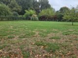 Maison à construire à Saint-Savin (33920) 2670726-11516annonce120261009OF8Tg.jpeg Maisons France Confort