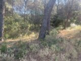Maison à construire à Lambesc (13410) 2672037-11073annonce120261011hmpwE.jpeg Maisons France Confort