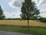 Maison à construire à Marcoing (59159) 2673301-7246annonce120260213yUTk4.jpeg Maisons France Confort