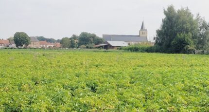 Audruicq Maison neuve - 2674945-10722annonce1202610136m7Gs.jpeg Maisons France Confort