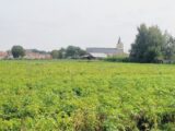 Maison à construire à Audruicq (62370) 2674983-10722annonce1202610136m7Gs.jpeg Maisons France Confort