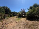 Maison à construire à Restinclières (34160) 2675320-11455annonce1202610132TmMV.jpeg Maisons France Confort