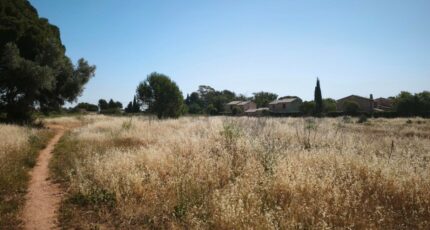 Cuers Maison neuve - 2675196-11039annonce120261013R5t9K.jpeg Maisons France Confort