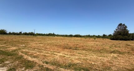 Cours-de-Pile Maison neuve - 2586330-11709annonce120260720iFn4K.jpeg Maisons France Confort