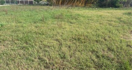 Saint-Martin-Petit Terrain à bâtir - 2675358-11292annonce120261013nU079.jpeg Maisons France Confort