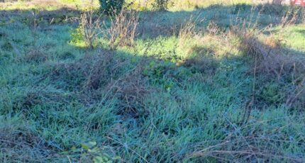 Gardanne Maison neuve - 2675500-11041annonce3202610137ziSc.jpeg Maisons France Confort