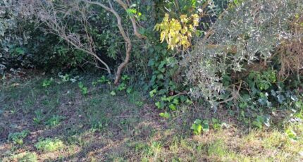 Gardanne Maison neuve - 2675516-11041annonce220261013PEkhi.jpeg Maisons France Confort