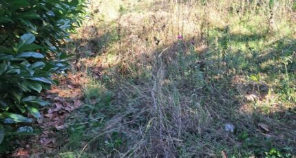 Gardanne Maison neuve - 2675516-11041annonce420261013zgo6u.jpeg Maisons France Confort