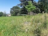 Terrain à bâtir à Lapeyrouse-Fossat (31180) 2672867-5202annonce320261012rfatg.jpeg Maisons France Confort