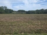 Maison à construire à Reignac (33860) 2671030-11516annonce120261009aishl.jpeg Maisons France Confort