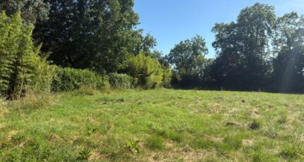 Saint-Sauveur Maison neuve - 2675437-11356annonce120261013Gt8Lv.jpeg Maisons France Confort