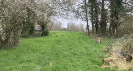 Raizeux Terrain à bâtir - 2675912-11790annonce220261014RVBIl.jpeg Maisons France Confort