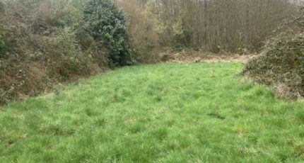 Raizeux Terrain à bâtir - 2675912-11790annonce420261014FbZkU.jpeg Maisons France Confort