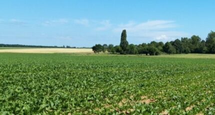 Mareil-le-Guyon Terrain à bâtir - 2676863-11790annonce120261014ROQtG.jpeg Maisons France Confort