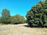 Terrain à bâtir à Domqueur (80620) 2677580-5042annonce220261015sfPq0.jpeg Maisons France Confort
