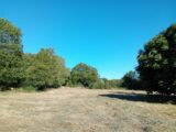 Terrain à bâtir à Domqueur (80620) 2677580-5042annonce3202610157JLcP.jpeg Maisons France Confort