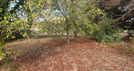 Buzet-sur-Tarn Maison neuve - 2677088-11356annonce420261014TMapb.jpeg Maisons France Confort