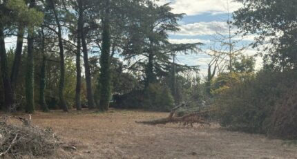 Buzet-sur-Tarn Maison neuve - 2677079-11356annonce220261014otFMk.jpeg Maisons France Confort