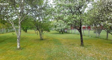 Couzeix Maison neuve - 2678549-11804annonce320260623h6JAl.jpeg Maisons France Confort