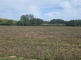 Maison à construire à Reignac (33860) 2671031-11516annonce120261009RzXfU.jpeg Maisons France Confort