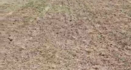 Bas-en-Basset Maison neuve - 2679157-3484annonce420261016m4uFW.jpeg Maisons France Confort