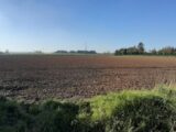 Terrain à bâtir à Sains-en-Gohelle (62114) 2679888-11655annonce1202610167rLoM.jpeg Maisons France Confort