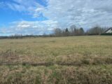 Maison à construire à Captieux (33840) 2680098-11292annonce120261016Zbe4y.jpeg Maisons France Confort