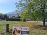 Terrain à bâtir à Rumilly (74150) 2680851-10163annonce120261016c6Xwp.jpeg Maisons France Confort