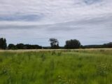 Terrain à bâtir à Coursan (11110) 2668555-11782annonce220261008lyRS7.jpeg Maisons France Confort