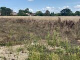 Maison à construire à Gargas (31620) 2681084-11913annonce120261017bWeyw.jpeg Maisons France Confort