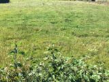 Terrain à bâtir à Polliat (01310) 2683346-754annonce220261020PnJUz.jpeg Maisons France Confort