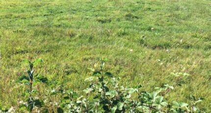 Polliat Maison neuve - 2683357-754annonce220261020PnJUz.jpeg Maisons France Confort